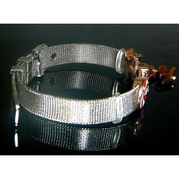 Tiger Eye Gemstone- Stainless Steel Mesh Keeper Bracelet-Band-Slide Charms-552 - Picture 2 of 9